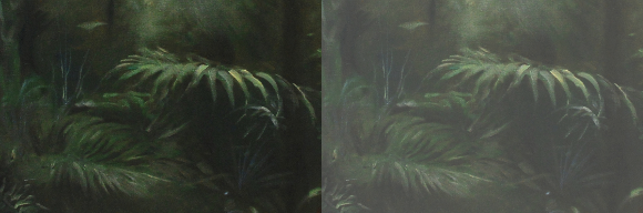 Jiri Kucera, Rainforest,  oil on canvas, 100 cm x 100 cm